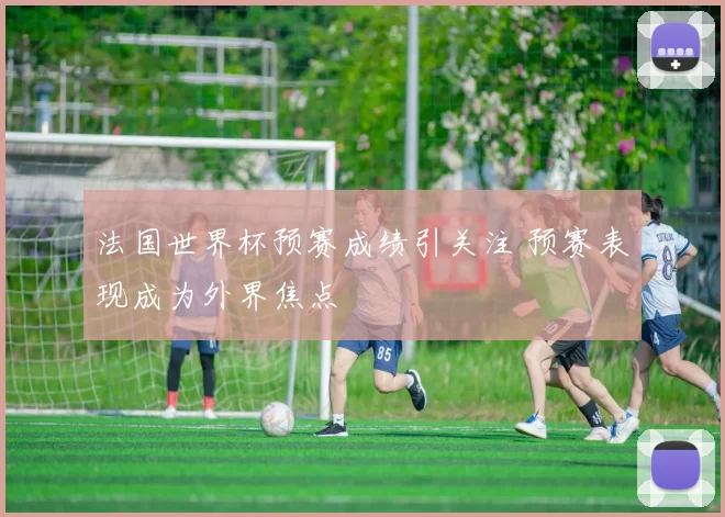 法国世界杯预赛成绩引关注 预赛表现成为外界焦点