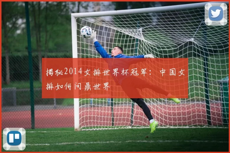 揭秘2014女排世界杯冠军:中国女排如何问鼎世界