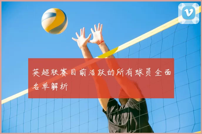 英超联赛目前活跃的所有球员全面名单解析