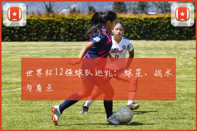 世界杯12强球队巡礼:球星、战术与看点