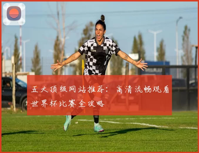 五大顶级网站推荐:高清流畅观看世界杯比赛全攻略