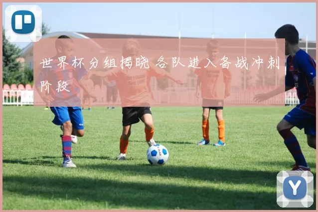 世界杯分组揭晓 各队进入备战冲刺阶段