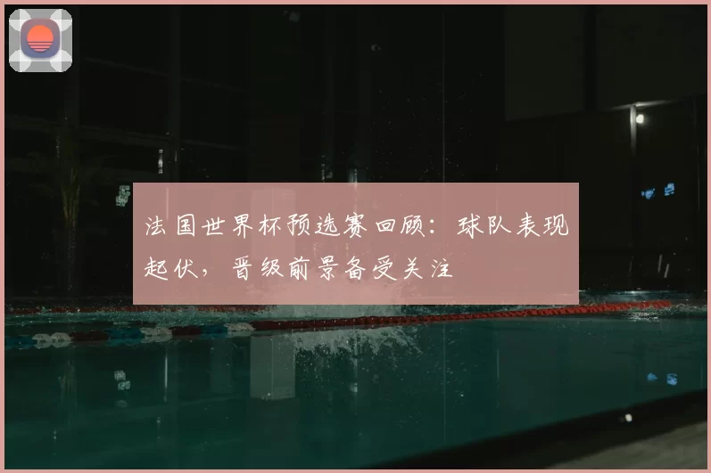 法国世界杯预选赛回顾:球队表现起伏,晋级前景备受关注