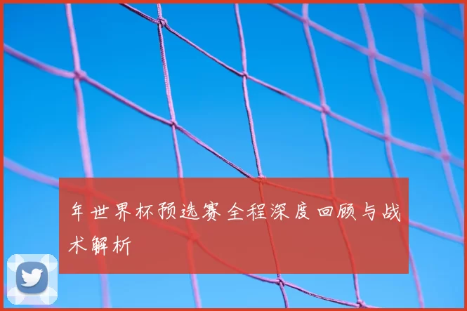 年世界杯预选赛全程深度回顾与战术解析