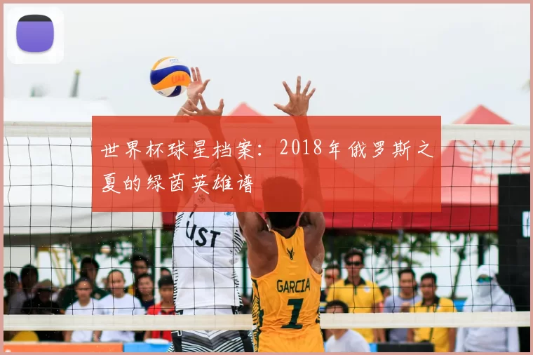世界杯球星档案:2018年俄罗斯之夏的绿茵英雄谱