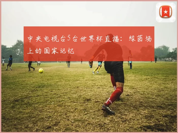 中央电视台5台世界杯直播：绿茵场上的国家记忆