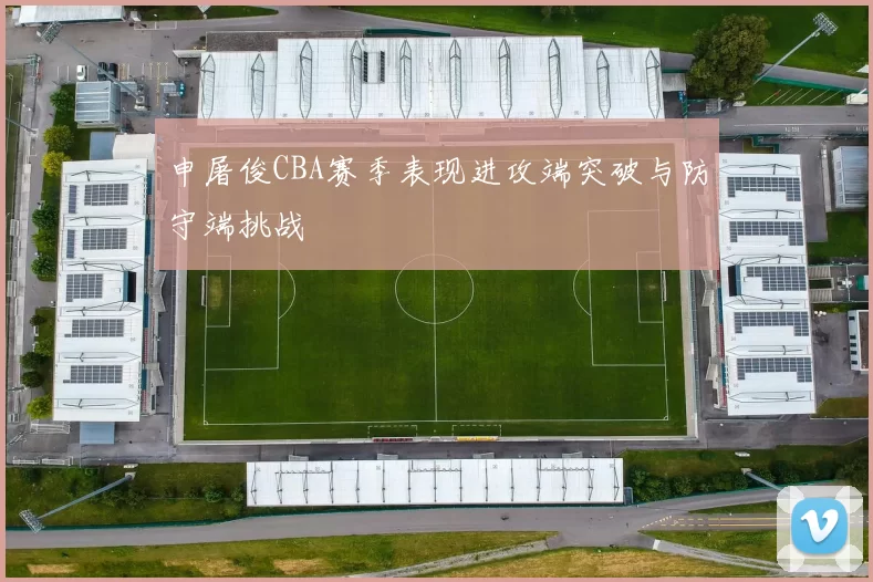 申屠俊CBA赛季表现进攻端突破与防守端挑战
