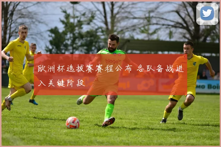 欧洲杯选拔赛赛程公布 各队备战进入关键阶段