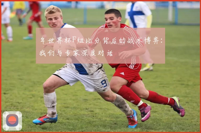 年世界杯F组比分背后的战术博弈：我们与专家深度对话