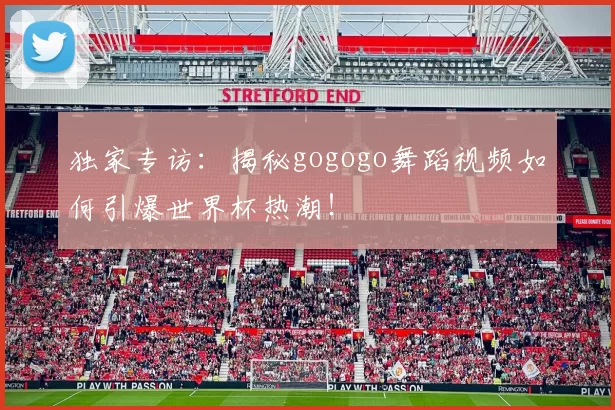 独家专访：揭秘gogogo舞蹈视频如何引爆世界杯热潮！