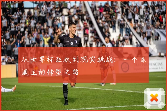 从世界杯狂欢到现实挑战：一个东道主的转型之路