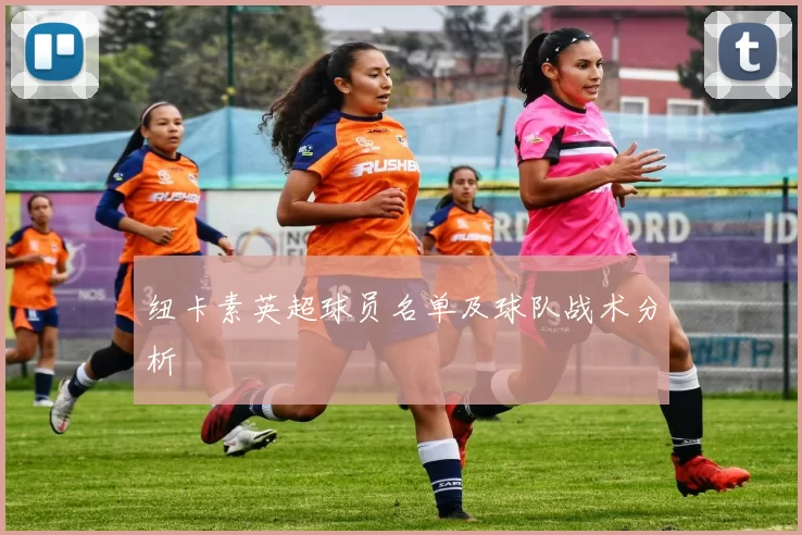 纽卡素英超球员名单及球队战术分析