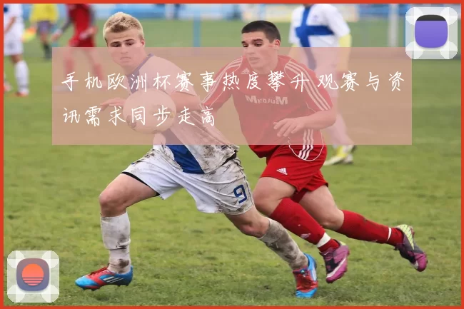 手机欧洲杯赛事热度攀升 观赛与资讯需求同步走高