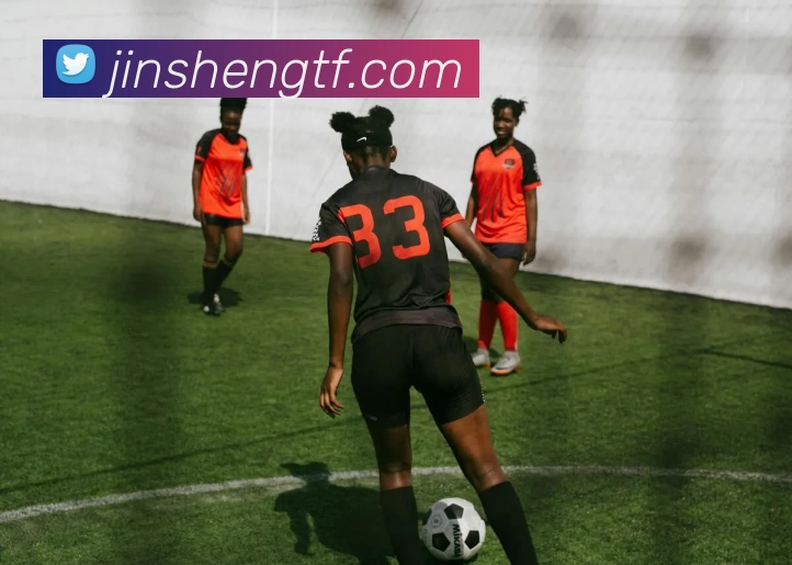 多媒体互动体验